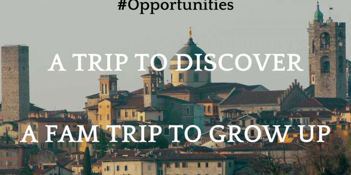 The Fam Trip of Elizabeth Chin